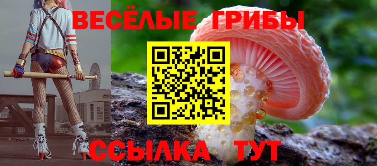Псилоцибиновые грибы Psilocybine cubensis  Вход с VPN  даркнет сайт  Усинск  Псилоцибиновые грибы MAGIC MUSHROOMS 